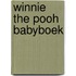Winnie the Pooh Babyboek