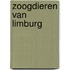 Zoogdieren van Limburg