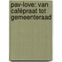 PAV-love: van cafépraat tot gemeenteraad
