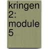 Kringen 2: module 5 door Vleminck