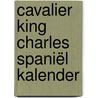 Cavalier King Charles spaniël kalender door Onbekend