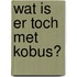 Wat is er toch met Kobus?