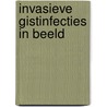 Invasieve gistinfecties in Beeld by J.H. Nouwend