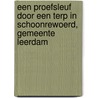 Een proefsleuf door een terp in Schoonrewoerd, gemeente Leerdam door P.L.M. Hazen