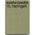Westerzeedijk 15, Harlingen