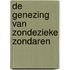 De genezing van zondezieke zondaren