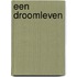 Een droomleven