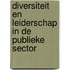 Diversiteit en leiderschap in de publieke sector