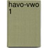 Havo-vwo 1