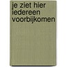 Je ziet hier iedereen voorbijkomen door Hans Kloos