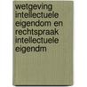Wetgeving Intellectuele eigendom en Rechtspraak Intellectuele eigendm by P.G.F.A. Geerts