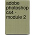 Adobe photoshop CS4 - module 2