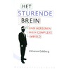 Het sturende brein by Elkhonon Goldberg