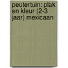 PEUTERTUIN: PLAK EN KLEUR (2-3 JAAR) MEXICAAN door n.v.t.