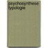 Psychosynthese typologie