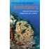 Breinfabels