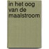In het oog van de maalstroom