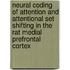 Neural coding of attention and attentional set shifting in the rat medial prefrontal cortex