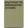 Psychosen bij adolescenten (E-boek) by Annemiek Kuijer