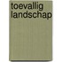 Toevallig landschap