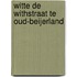 Witte de Withstraat te Oud-Beijerland