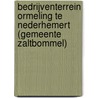 Bedrijventerrein Ormeling te Nederhemert (gemeente Zaltbommel) by L. Haaring