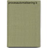 Procesautomatisering B by Collectief