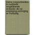 Kleine zorgaanbieders in multilevel vergelijkende analyses: de CQI verpleging,verzorging en thuiszorg