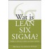 Wat is Lean Six Sigma?