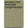 Excasso voor financiële conglomeraten door B. Weggeman