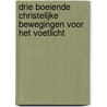 Drie boeiende christelijke bewegingen voor het voetlicht by J.A. de Boer