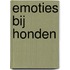 Emoties bij honden