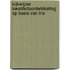 Kijkwijzer kwaliteitsontwikkeling op basis van TRIS