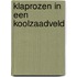 Klaprozen in een koolzaadveld