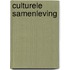 Culturele samenleving