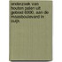 Onderzoek van houten palen uit gebied 6000, aan de Maasboulevard in Cuijk