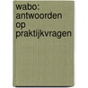 Wabo: antwoorden op praktijkvragen by Y.G.C.M. Bijkerk
