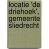 Locatie 'De Driehoek', gemeente Sliedrecht door R.M. van der Zee