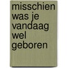 Misschien was je vandaag wel geboren door Y. Gebbe