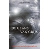 De glans van grijs door Liebje Hoekendijk