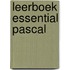 Leerboek Essential Pascal
