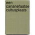Een Cananefaatse cultusplaats