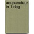 Acupunctuur in 1 Dag