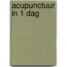 Acupunctuur in 1 Dag door P.C. van Kervel