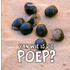 Van wie is die poep?