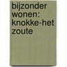 Bijzonder wonen: Knokke-Het Zoute door Fabienne Vastapane