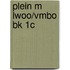 Plein M lwoo/vmbo bk 1C