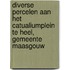 Diverse percelen aan het Catualiumplein te Heel, gemeente Maasgouw