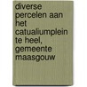 Diverse percelen aan het Catualiumplein te Heel, gemeente Maasgouw door N. de Jonge