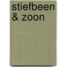 Stiefbeen & Zoon door Onbekend